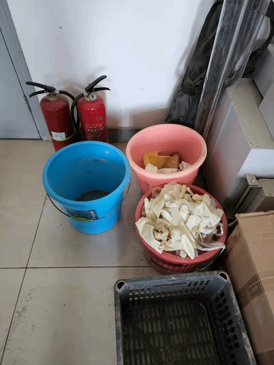 //web.roumanga.com:8080/_vsl/77AF8DBDFF5F13D78C5D1B52D85B0B83/67E6E005/A1EB