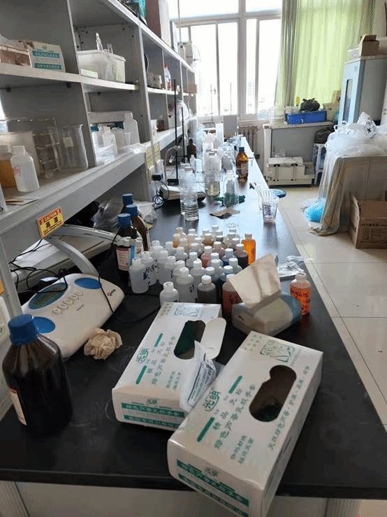 //web.roumanga.com:8080/_vsl/A840E95283F7DE0C706E7EE6C62A594D/C49E3C79/E2D5